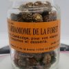 Cardamome de la forêt